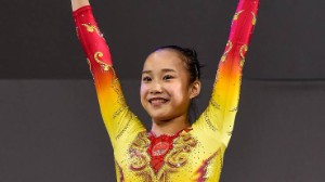 Fan yilin