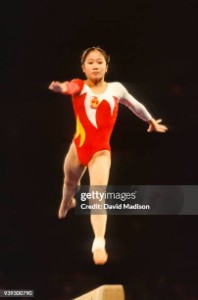 Meng fei