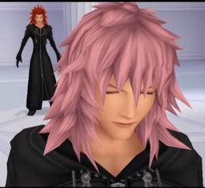 Axel x Marluxia