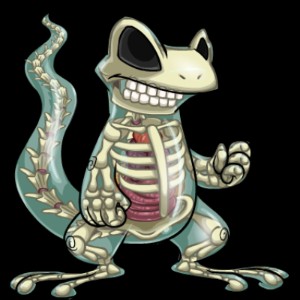 Transparent Techo