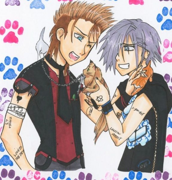 DEMYX X ZEXION