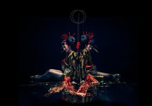 Division -Vein & Arthery- [2012]