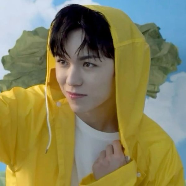 Vernon - Seventeen