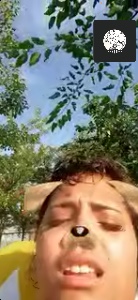 Elisa
