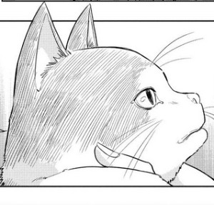 Mr Yasumura