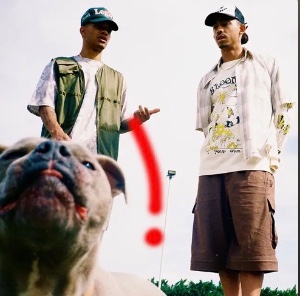 Follow Excitement! (Rizzle Kicks)