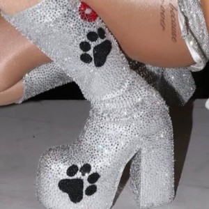 Paw Prints