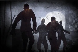 Nacht Der Untoten