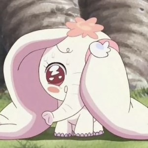 Pao
