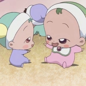 Teki & Tekipaki