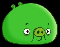 Big Pig