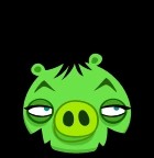 Billie Joe Armstrong Pig