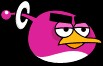 Blackhole Bird