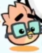 Buddy