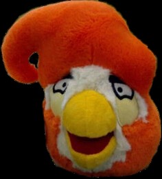 Coco Bird
