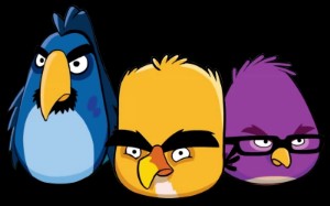 Developer Birds