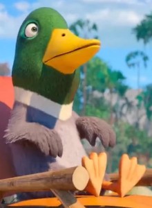 Duck
