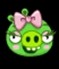 Female Pig