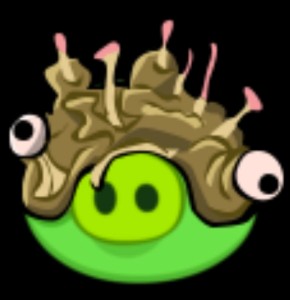 Fungi Pig