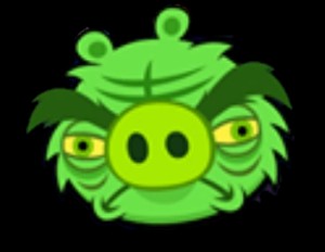 Grouchy Pig