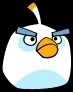 Icebomb Bird