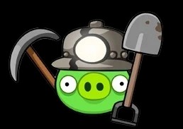 Miner Pig