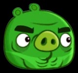 Muscle Pig