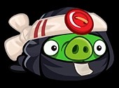 Ninja Pig