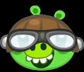 Pilot Pig