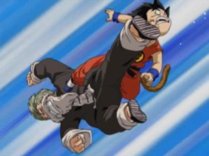 21st Budokai Saga