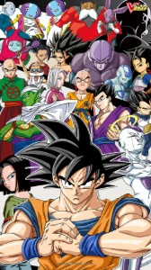 Tournament of Power Saga