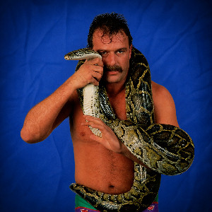 Jake The Snake Roberts