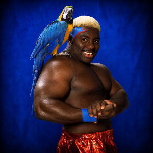 Koko B Ware