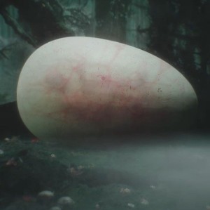 Womb