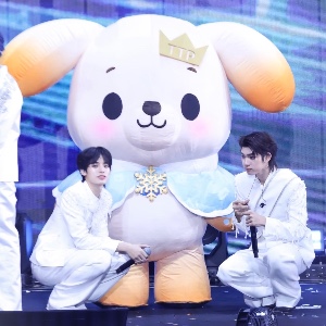BokBear