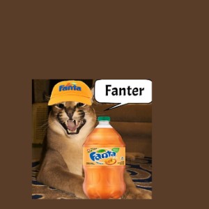 Funny Cat Picture