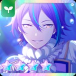 Jellyfish Rui