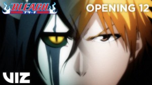 BLEACH 12