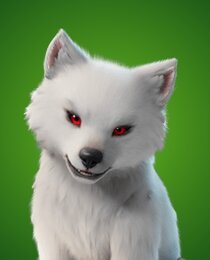 Direwolf Pup