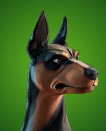Duke