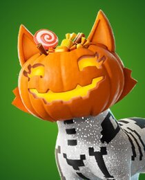 Jack-o-Cat