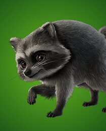 Jimothy