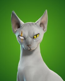 Meowdas Sphinx