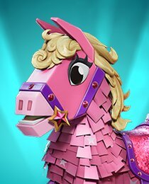 Pink Pony
