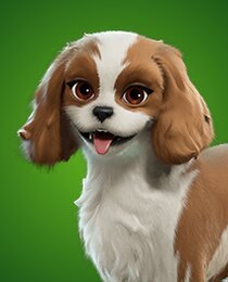 Sandy Spaniel