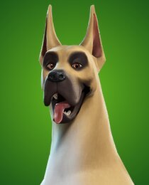The Dane
