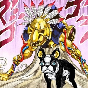 The Fool