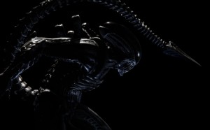 Xenomorph