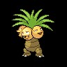 Exeggutor