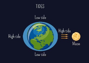 Turn the tides